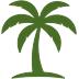 Palm tree icon for tropical favorites menu